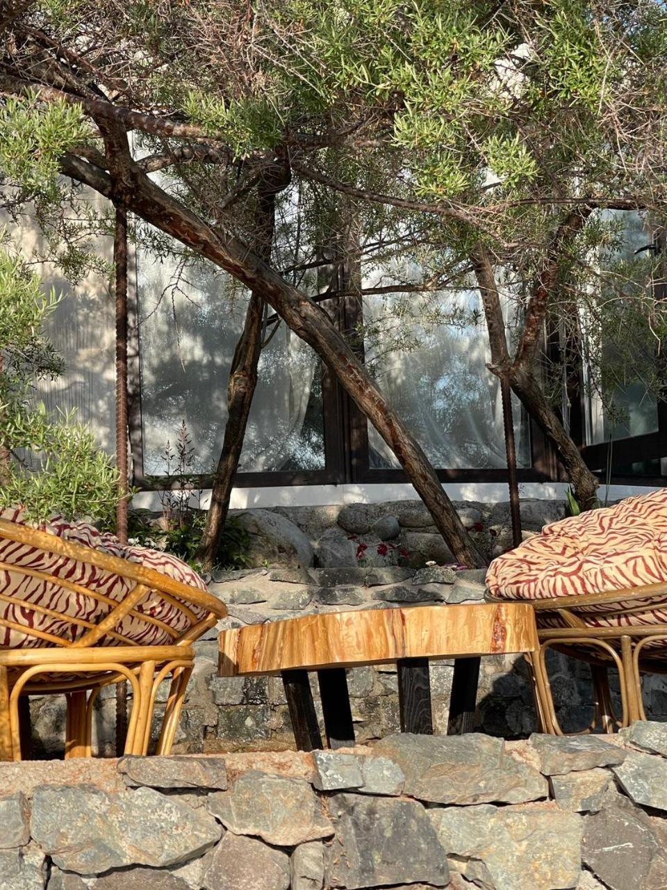 Ak-Tengir Yurt Resort Tossor Extérieur photo